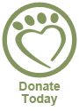 donate_today